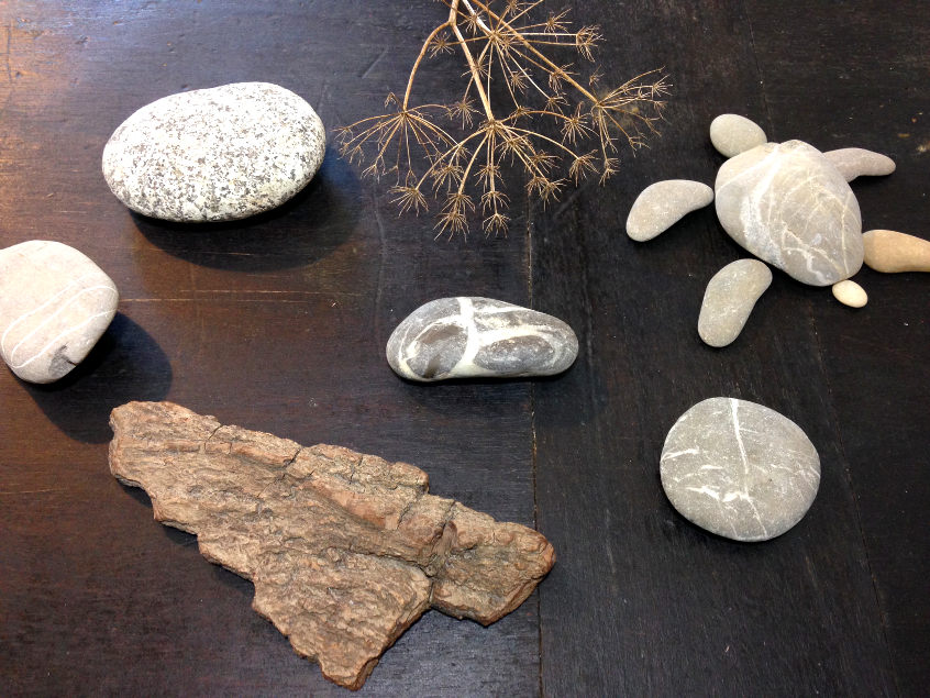 All those treasures given by nature. Perfect for creative DIY projects.