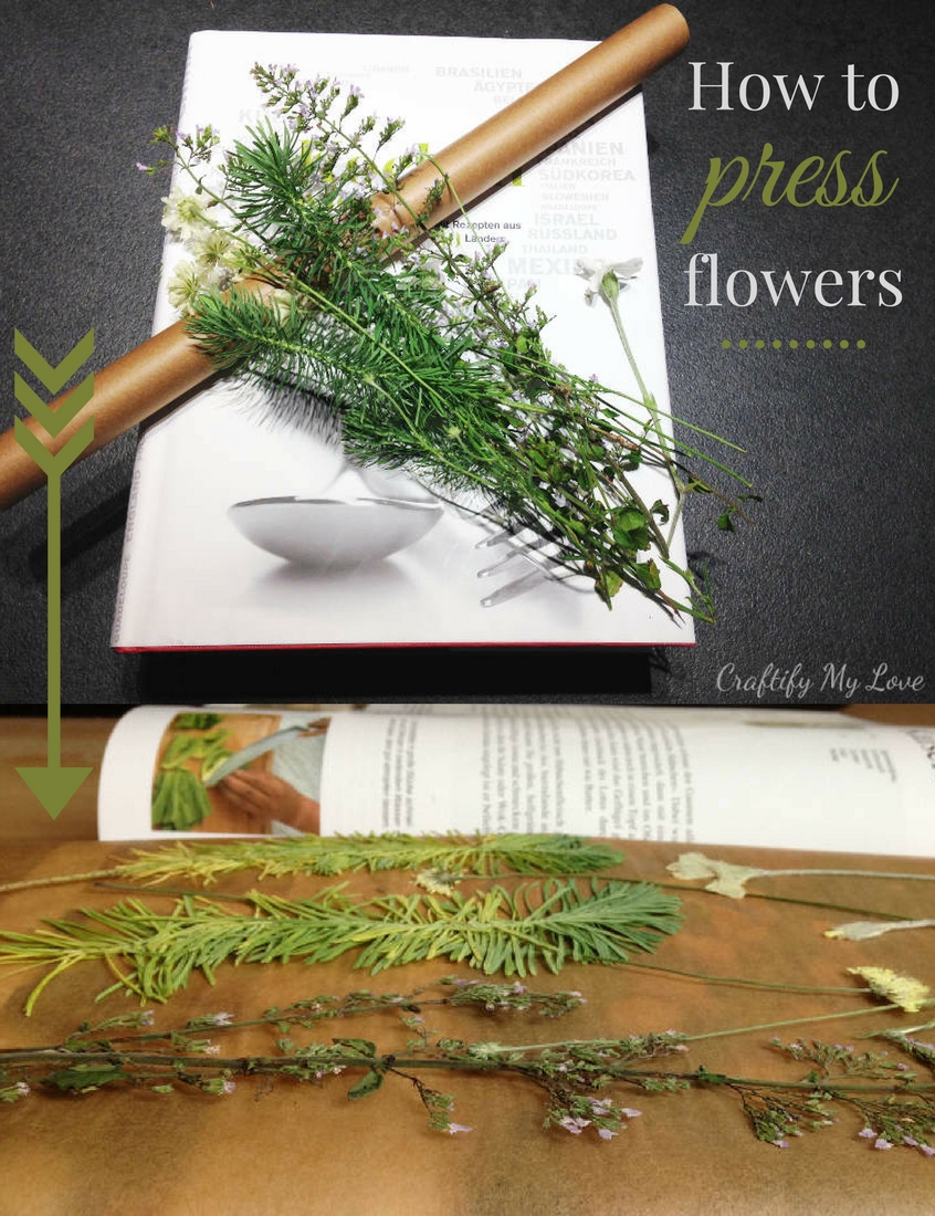 How to press flowers with a book Craftify My Love