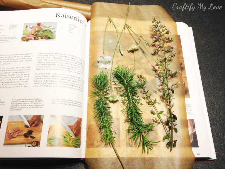 How to press flowers with a book Craftify My Love