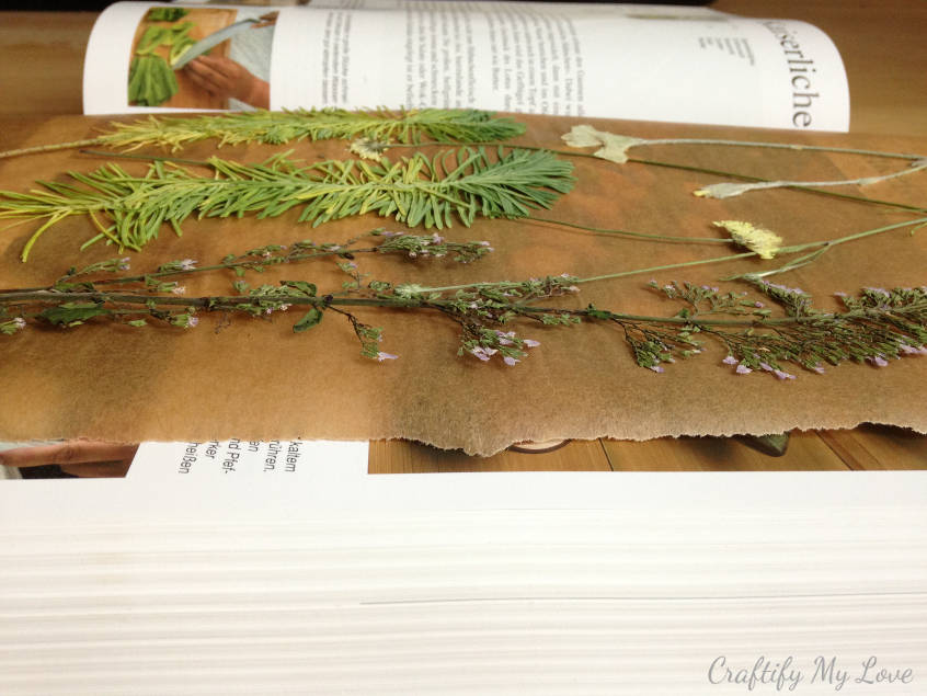 pressed flowers using a book