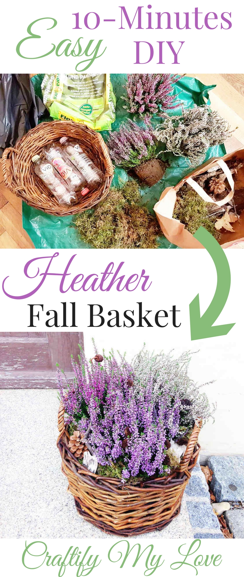 10 Minutes DIY suitable for absolute gardening beginners. Click to learn how to make this easy Heather Fall Basket | #fall #falldecor #heatherbasket #10minutescraft #10minutesdiy #winterdecoration #frontporch