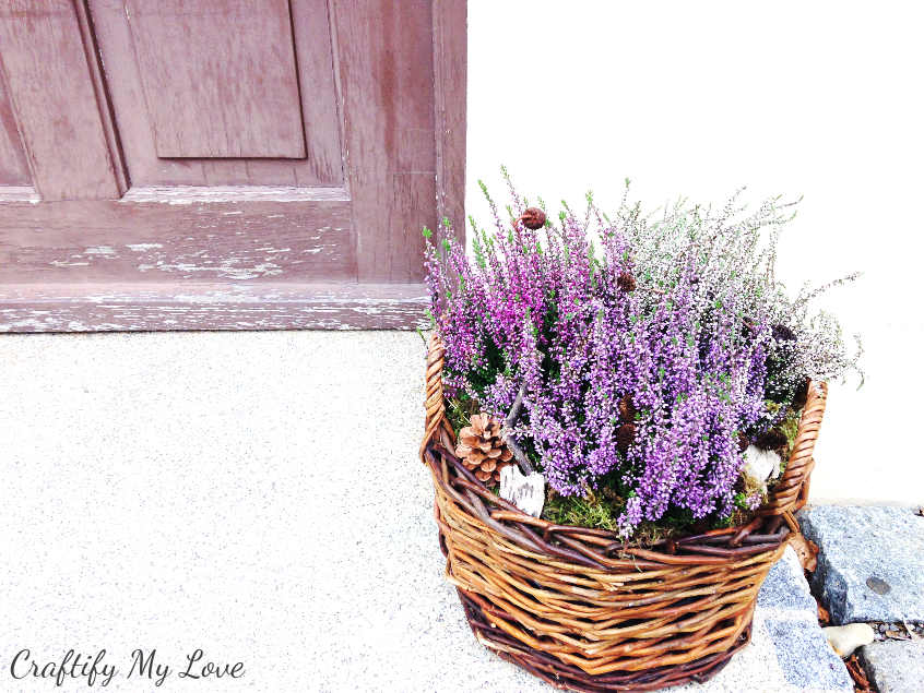 DIY fall decor project heather basket that will transition into winter