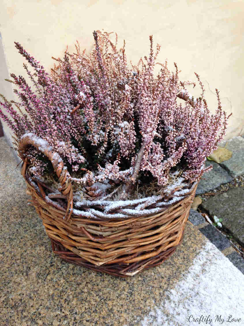 Snow covered heather basket front porch decoration