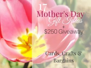 Mother's Day Gift Guide - 17 creative and inexpensive Mother's Day Gift Ideas plus $ 250 giveaway