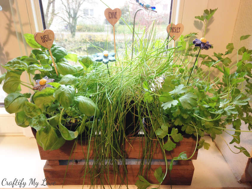 windows indoor herb garden with handmade plant or herb markers