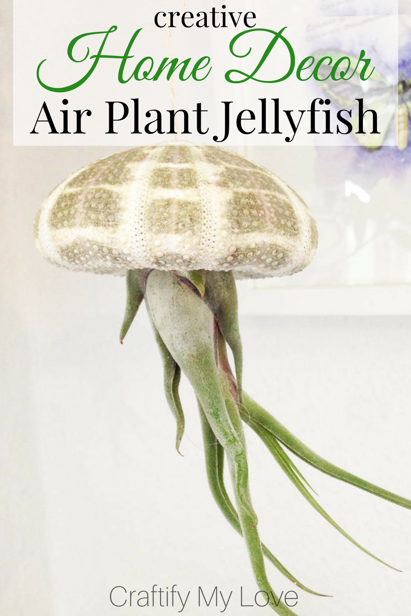 Will you look at this Jellyfish? If that is not Creative Home Decor, then I don't know what, lol!!! It's made from a sea urchin scelleton and air plants. If you are into nautical decorations click through and learn how to DIY this without hurting the plant! #craftifymylove #creativedecor #airplantdecor #howtotakecareofairplants #DIYjellyfish