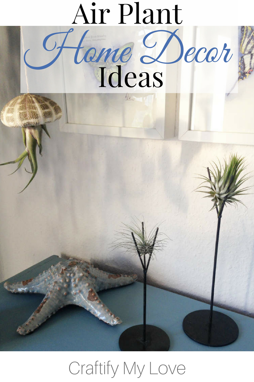 how to decorate your home with living art: Click for Air Plant home decor ideas. #craftifymylove #coastaldecor #industrial #homedecoronabudget #airplants #beachydecor