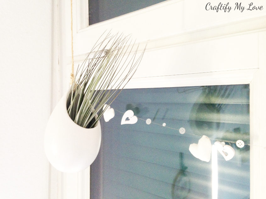 hanging air plant terrarium clay pot container