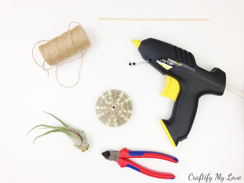 supplies to make a jelly fish diy home decor using sea urchin and air plants