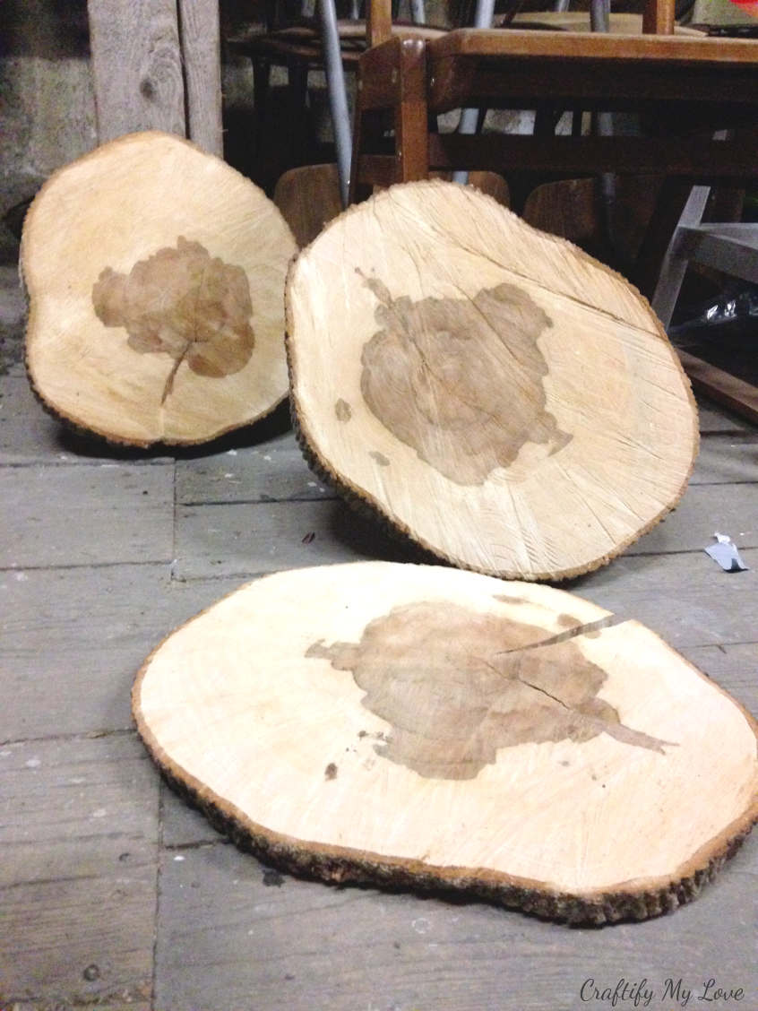 wood slices need to dry slowly in order to not crack or rip before you start your DIY wood working project