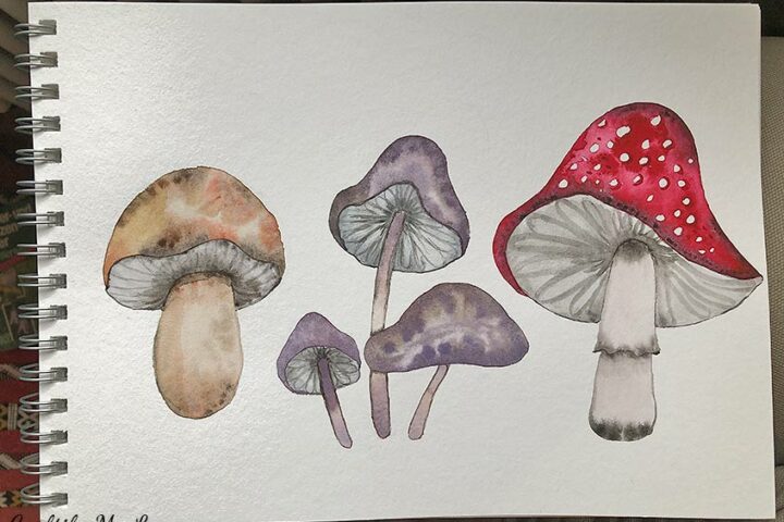 learn how to watercolour simple watercolor mushrooms tutorial to follow along